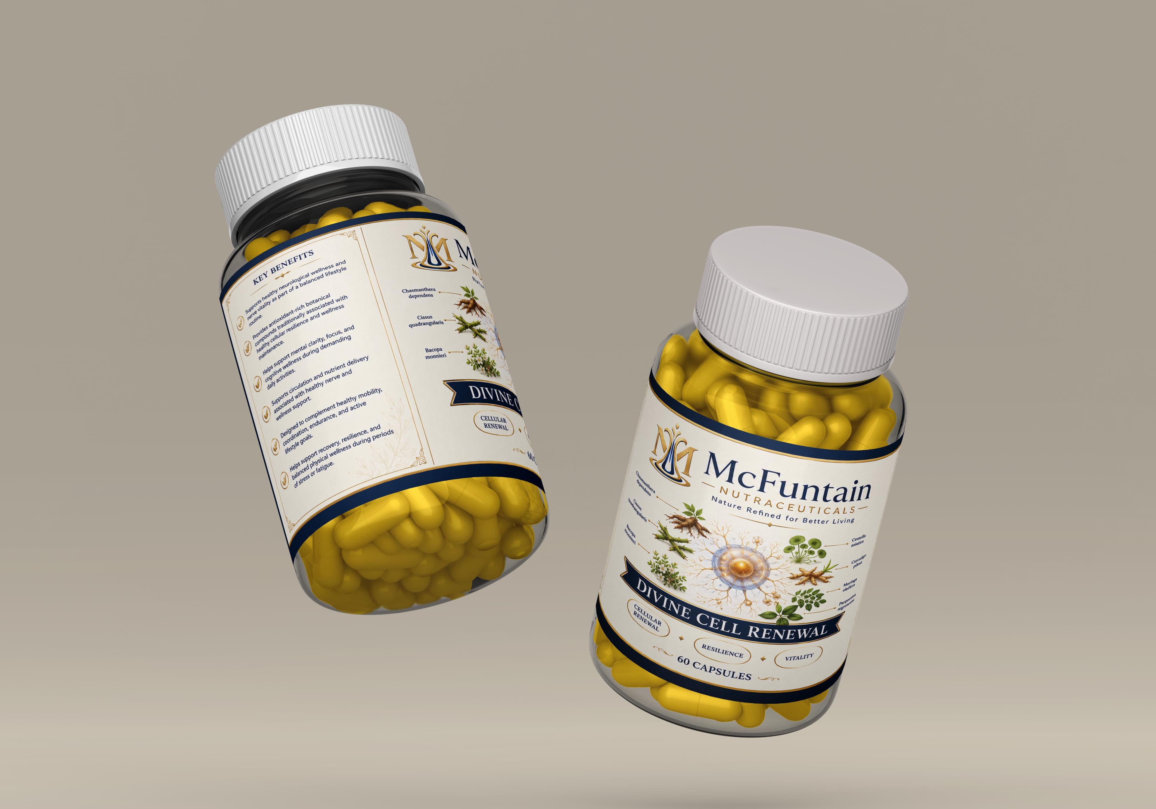 Divine Stem Cells - View 1